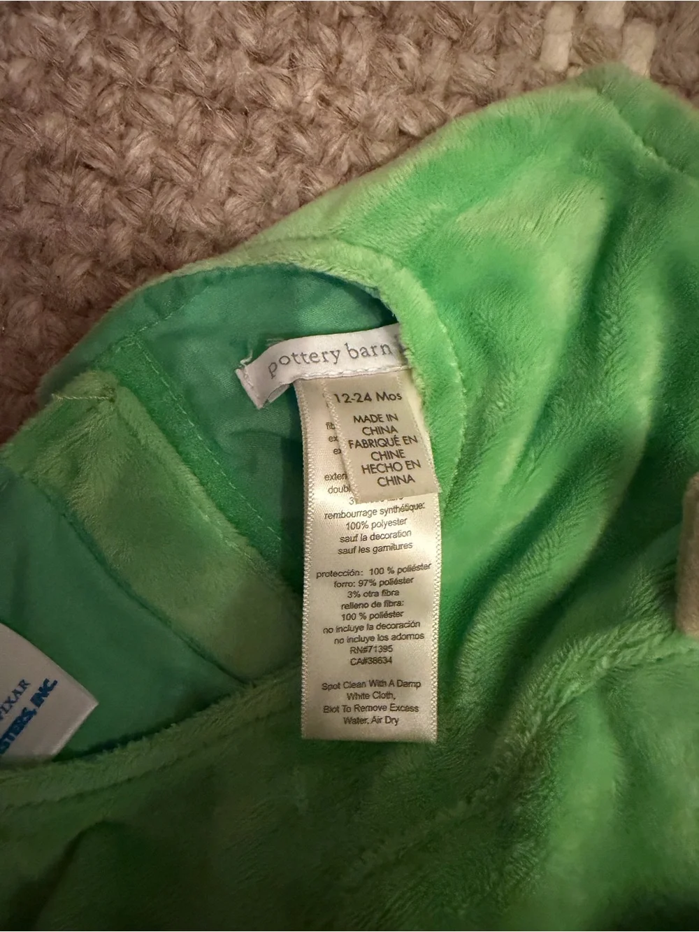 Pottery Barn plush green